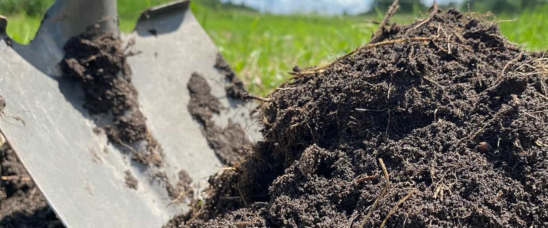 Adding Organic Fertilizers: How to Set Up and Maintain an Eco-Friendly Garden