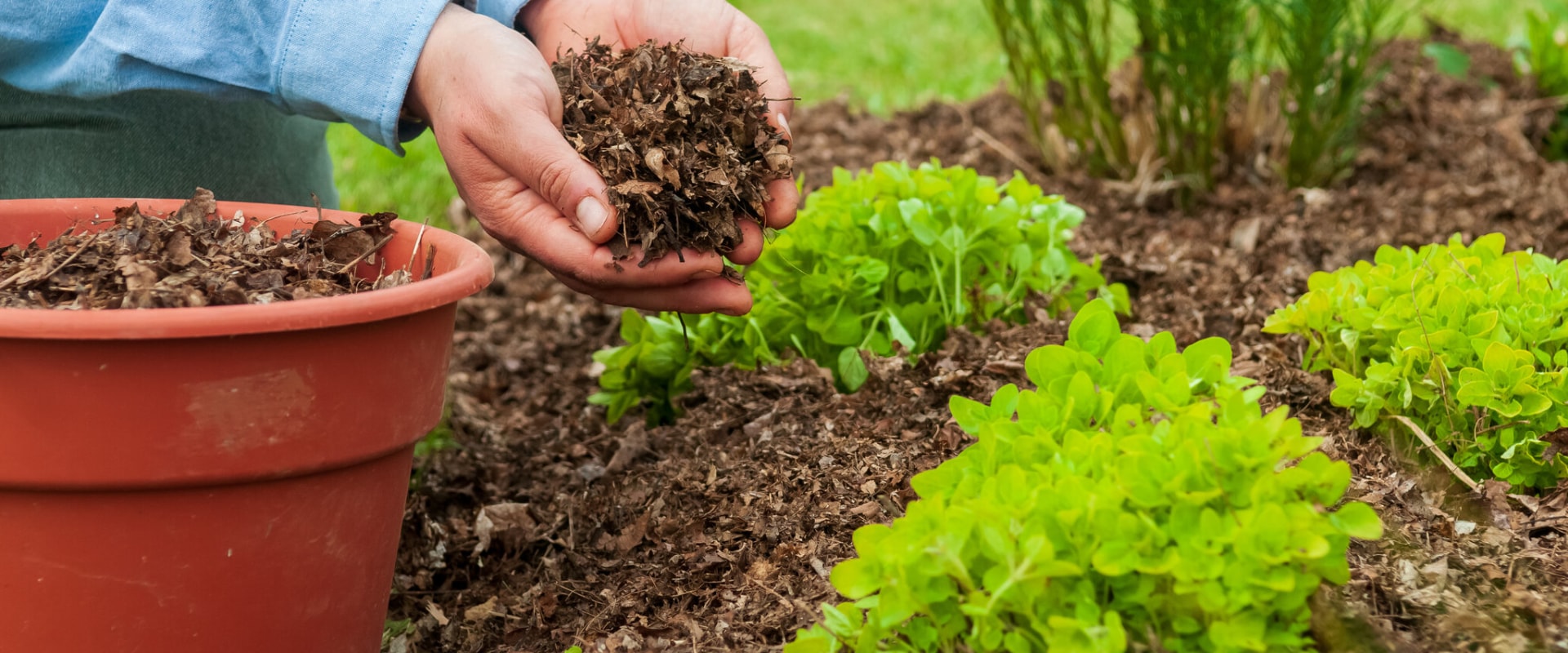 The Benefits of Mulch for Your Organic Garden